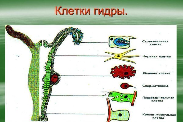 Кракен даркнет ссылка зеркало