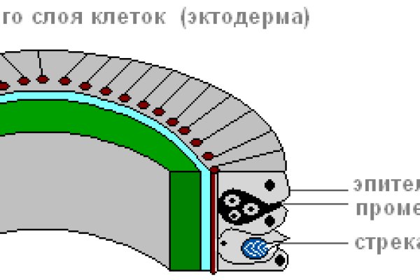 Кракен 16