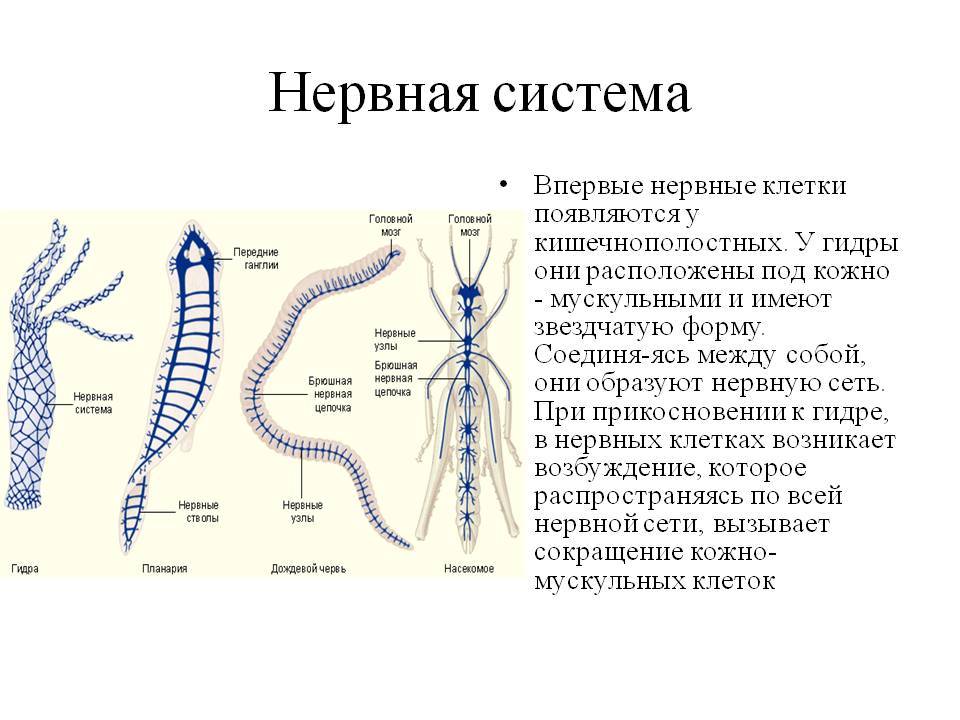 Почему не закрыт сайт кракен